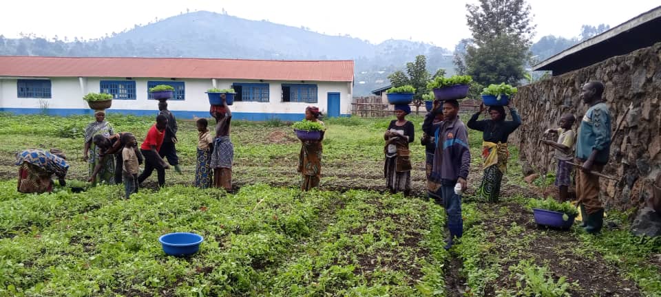 Contribuer à la réduction de l'insecuté alimantaire